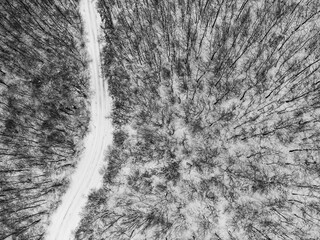 Top view of a winter forest. with a road in the middle of trees - 667875377