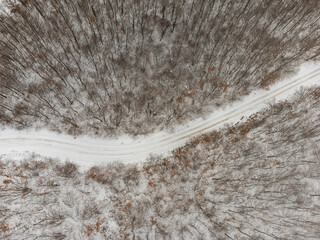 Top view of a winter forest. with a road in the middle of trees - 667875559