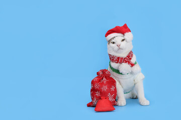 White Cat wearing Santa hat. Christmas concept. Holiday background. Santa's helper. Merry Christmas. Xmas. Santa cat. Happy New Year. Greeting card. Shopping sale concept. Christmas presents.