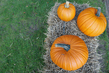 Pumpkins and Hay Bale on the Grass Field
