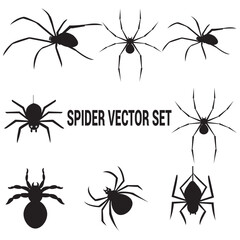 set of black spider Silhouette. set of black spider icons. Silhouette of black spider