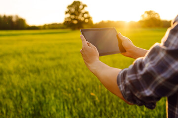 Agronomist on a green field with a digital tablet in his hands. A young farmer checking the quality of young wheat using a specialized application. A bountiful harvest.