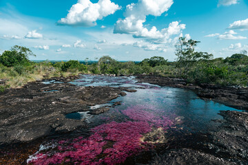 Fototapeta na wymiar Landscape of the Caño Cristales river in the La Macarena national park. Colombia. 