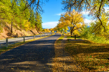 Autumn view with fall colors on the leaves along the tree lined Centennial Trail path as it makes...