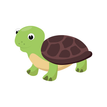 Cute turtle cartoon isolated on white background Vector illustration.