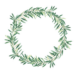 Watercolor olive wreath. Isolated on white background. Hand drawn botanical illustration. Can be used for cards, logos and food design.