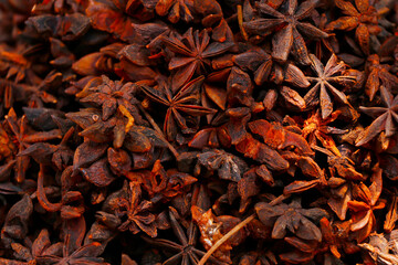 star anise, Illicium verum is a medium-sized evergreen tree native to northeast Vietnam and South China spice - obrazy, fototapety, plakaty