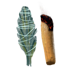 Palo Santo White Sage. Hand drawn illustration for cards, posters, stickers and professional design. 