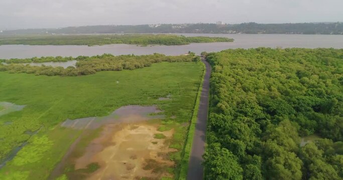 Chorao Island Goa