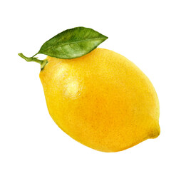 Close-up view watercolor illustration of a lemon, isolated on white background.