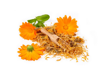 Fresh and dried calendula officinalis herbal flowers