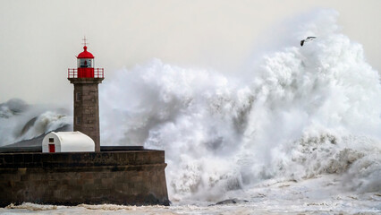 Lighthouse during storm, Portugal 