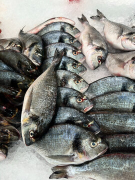 Seafood market display stock photo