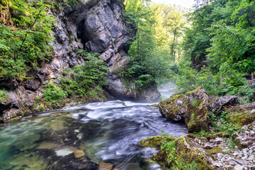 Fototapeta premium Vintgar Gorge, Slovenia