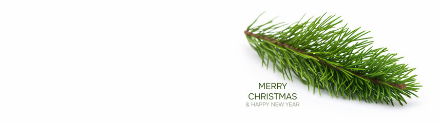 A green branch of a christmas tree on a white background