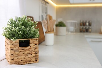 Beautiful potted artificial plant on countertop in kitchen, space for text. Home decor
