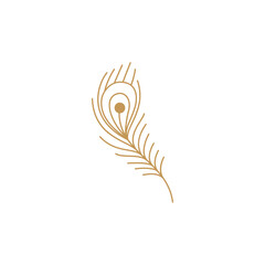 Peacock feather gold logo with line art design style