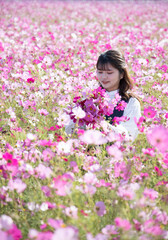 Obraz na płótnie Canvas コスモス畑で秋桜を摘む女性