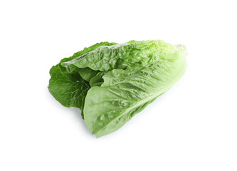Fresh green romaine lettuce isolated on white