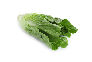 Fresh green romaine lettuce isolated on white