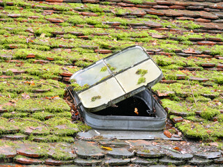 Dichter Moosbewuchs auf einem mit Biberschwänzen gedecktem Ziegeldach mit geöffnetem Dachfenster