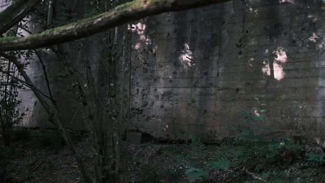Verfallene Schießwand im Wald 