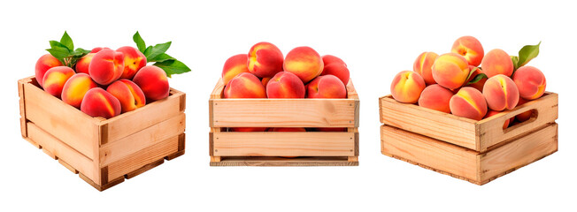Three wooden boxes full of plenty of peaches over isolated white transparent background - obrazy, fototapety, plakaty