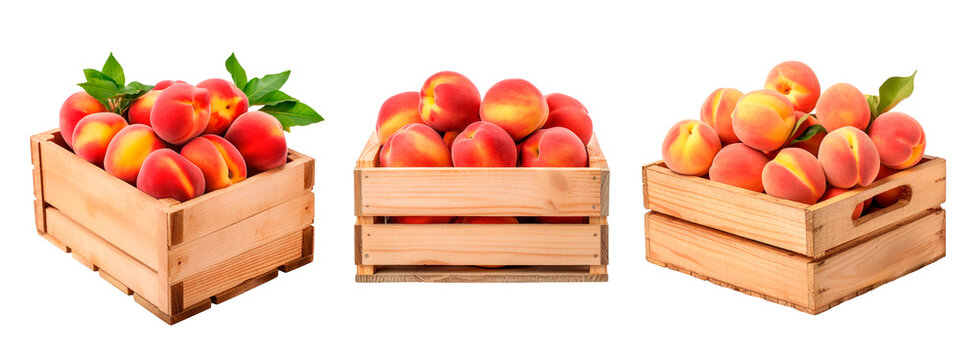 Three wooden boxes full of plenty of peaches over isolated white transparent background