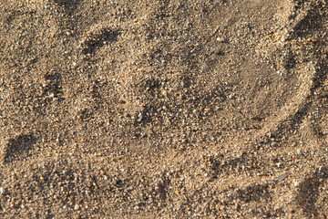 Sand background with sunlight in the sand, close-up of photo