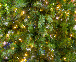 Close up on Christmas tree with light