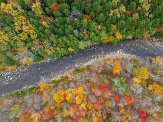 aerial view of brook in colorful autumn forest