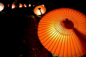 鳥取　大山　大山寺　大山の大献灯
