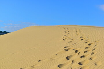鳥取砂丘　鳥取　砂丘　日本海
