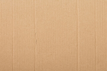 Cardboard Pieces Textured Background. Carton Piece with Copy Space