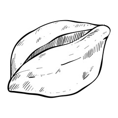 bread bakery hand drawn