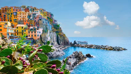 Foto op Canvas Manarola Village Cinque Terre Italy. colorful town Liguria © Chirapriya