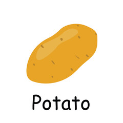 Potato illustration flat vector. Vegetables flashcard. Element for kitchen, cooking, super market, healthy lifestyle concept.
