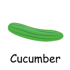 Cucumber illustration flat vector. Vegetables flashcard. Element for kitchen, cooking, super market, healthy lifestyle concept.