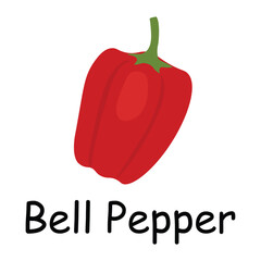 Bell pepper illustration flat vector. Vegetables flashcard. Element for kitchen, cooking, super market, healthy lifestyle concept.