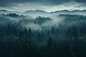 Foggy morning in the Carpathian mountains, Ukraine, Misty dark forest aerial landscape view, AI Generated