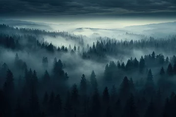 Velours gordijnen Mistig bos Foggy morning in the mountains. Landscape with coniferous forest, Misty dark forest aerial landscape view, AI Generated