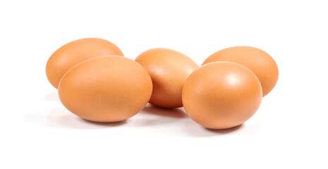 Chicken egg isolated on a white background.