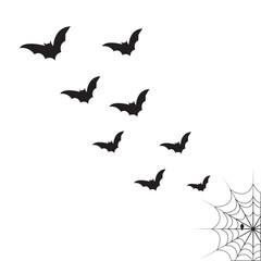 Halloween theme with bats, black spider and web. Hallowen objects on white paper background with space for text, flat lay. Minimalist Hallowen greeting card. Concept of Happy Helloween and horror.