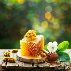 Propolis with honeycomb