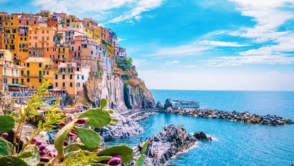 Crédence en verre imprimé Ligurie Manarola Village Cinque Terre Italy. colorful town Liguria