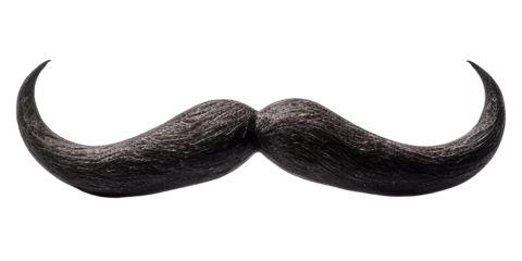 Black moustache isolated on isolated background