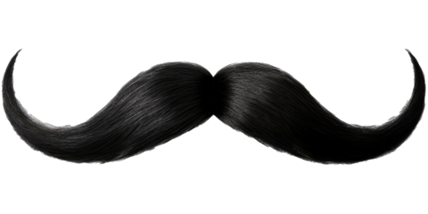 Black moustache isolated on isolated background