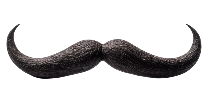 Black moustache isolated on isolated background