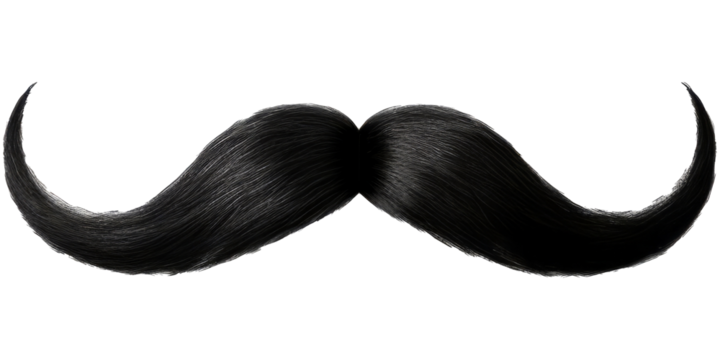 Black moustache isolated on isolated background