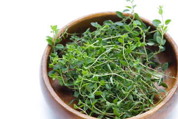 Fresh lemon thyme on white background.